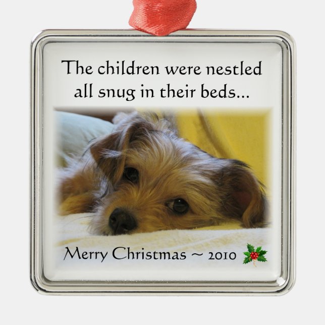 Ornamento 2010 del navidad de Lucy (Frente)