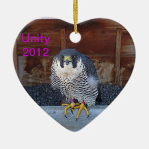 Ornamento 2012 de la unidad