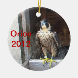 Ornamento 2012 de Orión