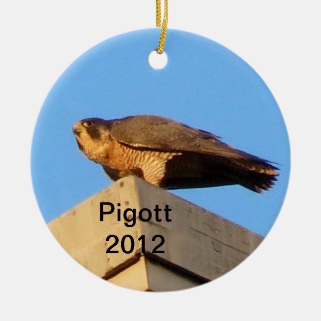 Ornamento 2012 de Pigott (Frente)