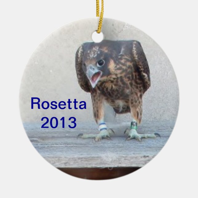 Ornamento 2013 de Rosetta (Frente)