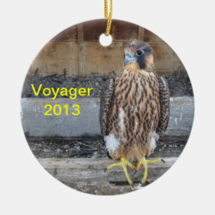 Ornamento 2013 del viajero