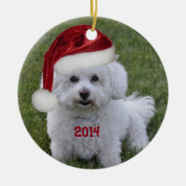 Ornamento 2014 de Bichon Frise (Frente)