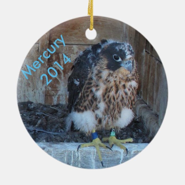 Ornamento 2014 de Mercury (Atrás)