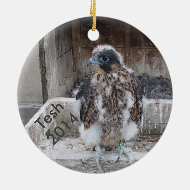 Ornamento 2014 de Tesh (Atrás)