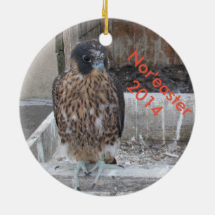 Ornamento 2014 del viento del norte