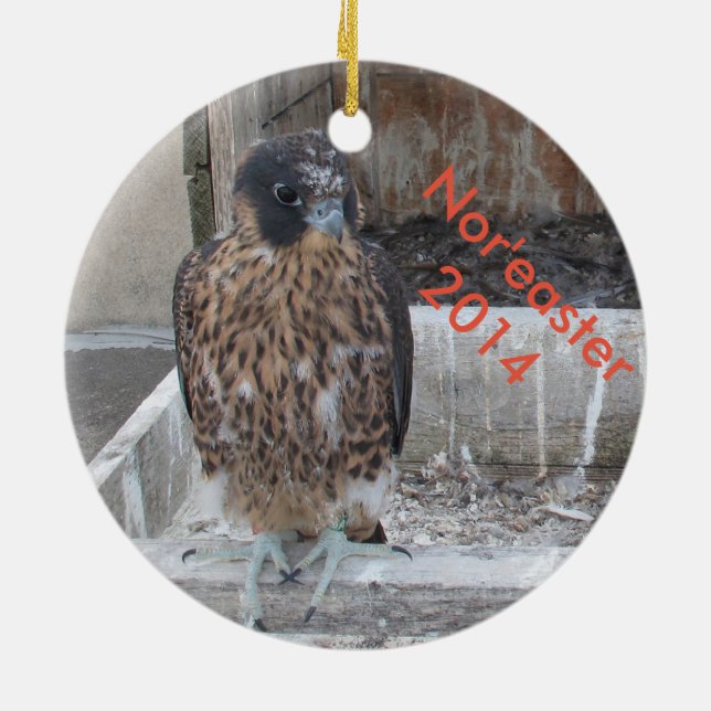 Ornamento 2014 del viento del norte (Atrás)