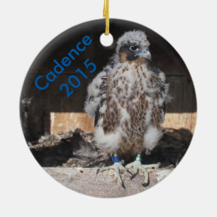 Ornamento 2015 de la cadencia