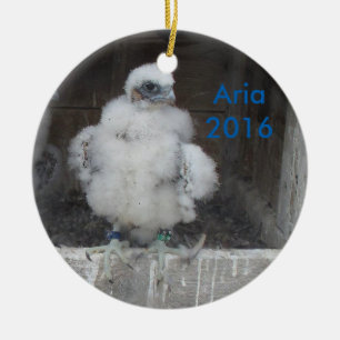 Ornamento 2016 de la aria