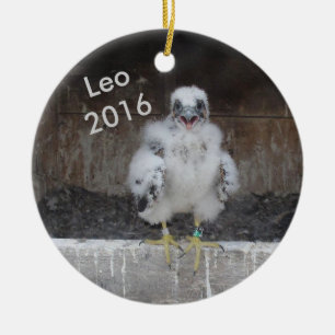Ornamento 2016 de Leo