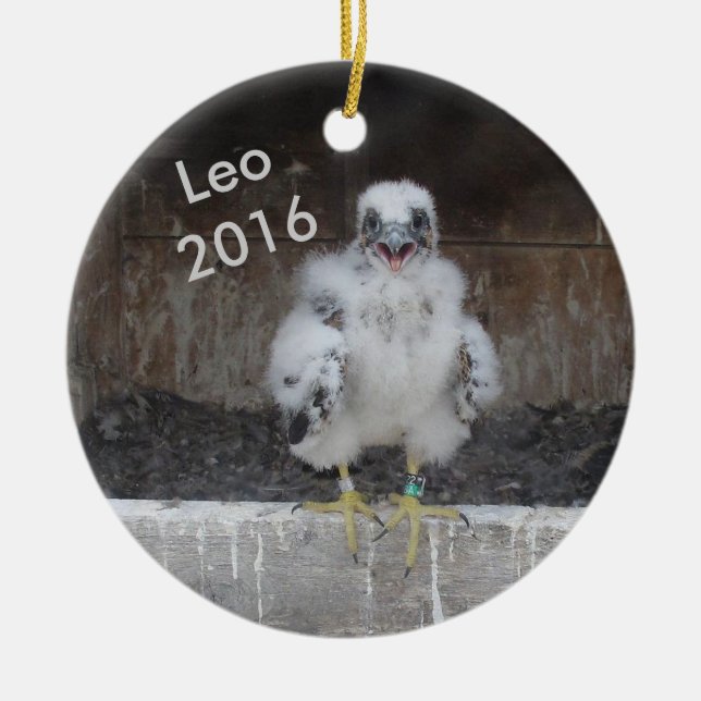Ornamento 2016 de Leo (Frente)