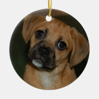 Ornamento 2 de Puggle