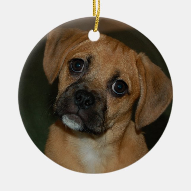 Ornamento 2 de Puggle (Frente)