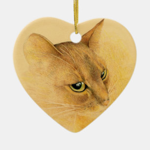 Ornamento abisinio del gato