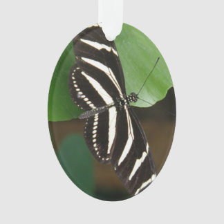 Ornamento acrílico de la mariposa de larga longitu