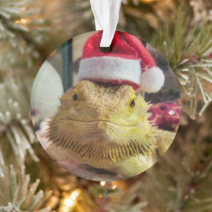 Ornamento acrílico de Santa Bubbs