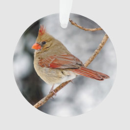 Ornamento acrílico del cardenal norte femenino