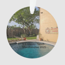 Ornamento acrílico Delaney Ranch 2025