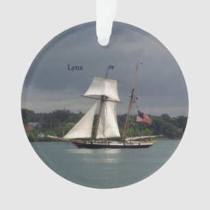 Ornamento acrílico Lynx