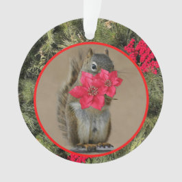 Ornamento acrílico, ornamento de círculo acrílico