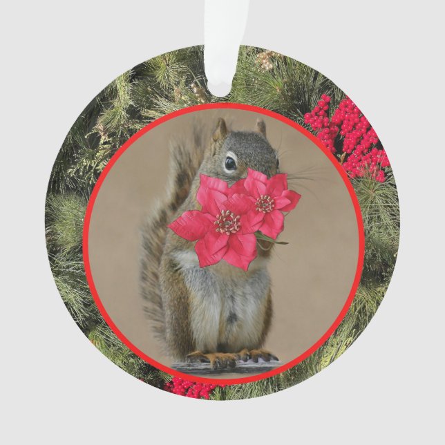 Ornamento acrílico, ornamento de círculo acrílico (Anverso)