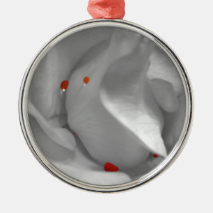 Ornamento acuático eoliano