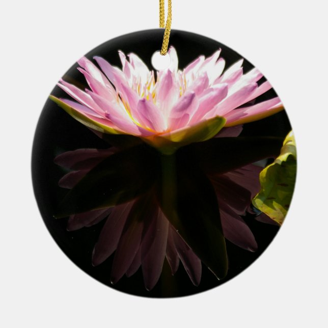 Ornamento acuático rosado de Lotus (Frente)