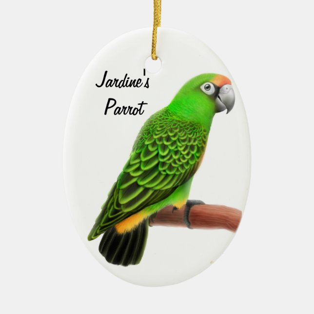Ornamento adaptable del día de fiesta del loro de (Frente)
