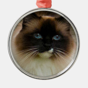 Ornamento adorable del gato de Ragdoll