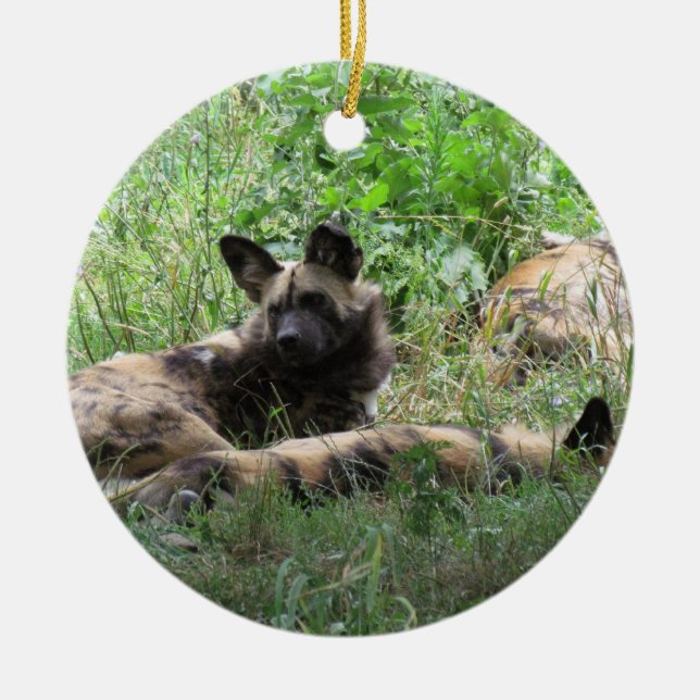 Ornamento africano del navidad de los perros (Frente)