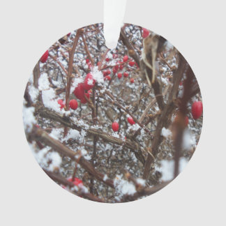 Ornamento agridulce de las bayas