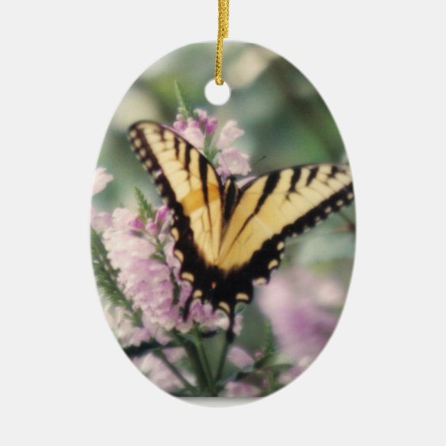 Ornamento amarillo de la mariposa (Frente)