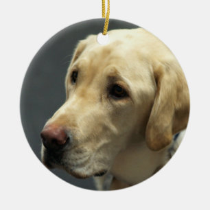 Ornamento amarillo de Labrador