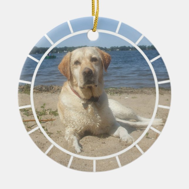 Ornamento amarillo del labrador retriever (Frente)