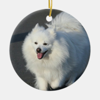 Ornamento americano del perro esquimal