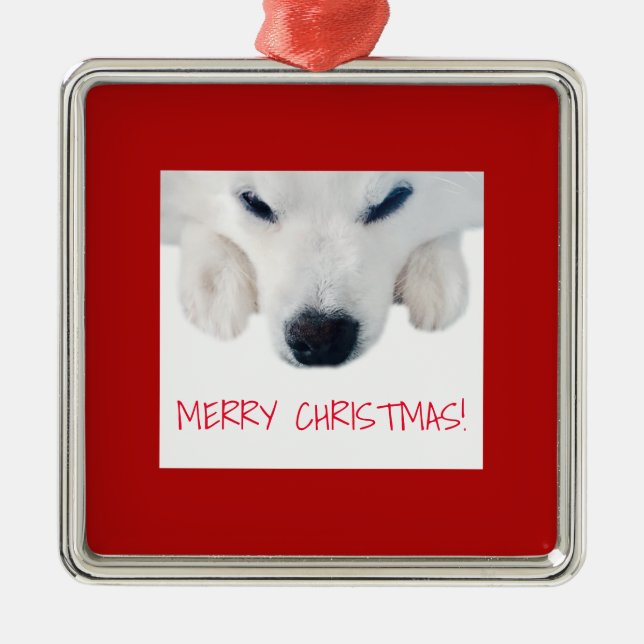 Ornamento americano del perro esquimal/ornamento (Frente)