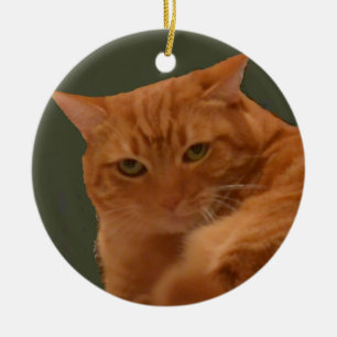 Ornamento anaranjado del gato de Tabby