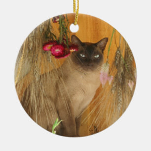 Ornamento animal de flores secas de gato siamés