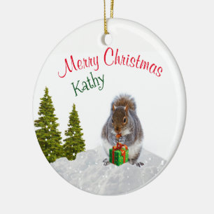 Ornamento animal lindo / ardilla Navidad