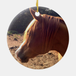 Ornamento árabe del caballo