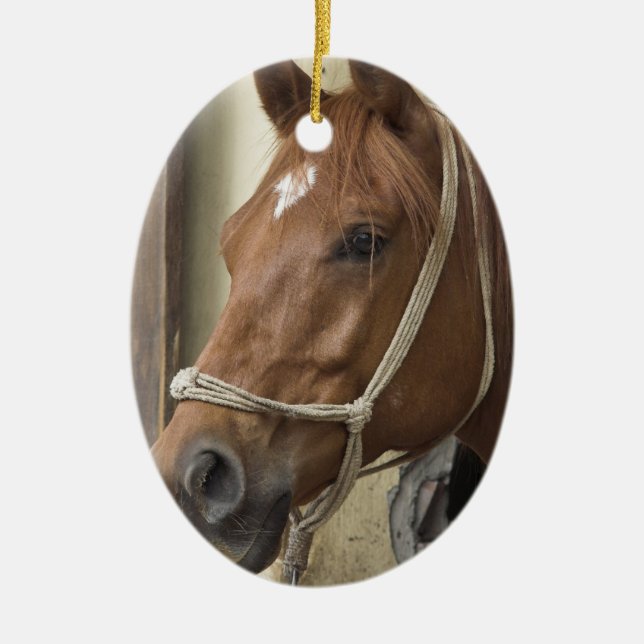 Ornamento árabe del caballo (Frente)