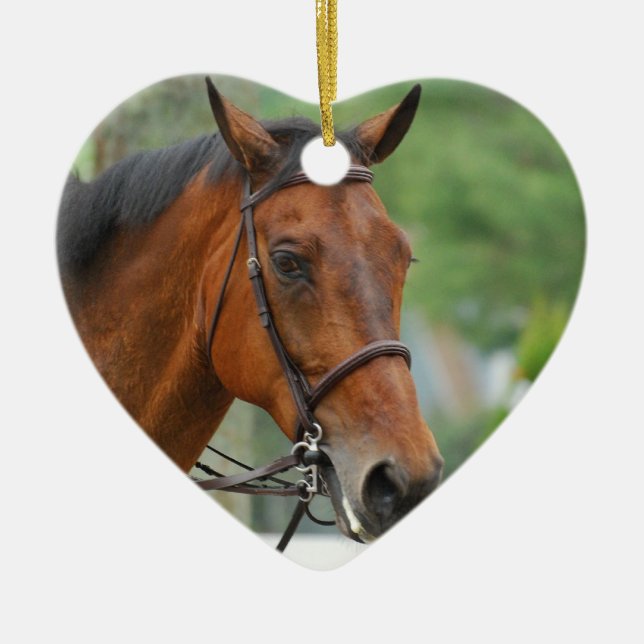 Ornamento árabe del caballo de la bahía (Frente)