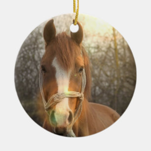 Ornamento árabe del caballo de la castaña