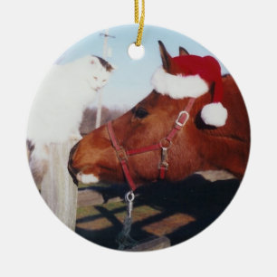 Ornamento árabe del caballo y del gato