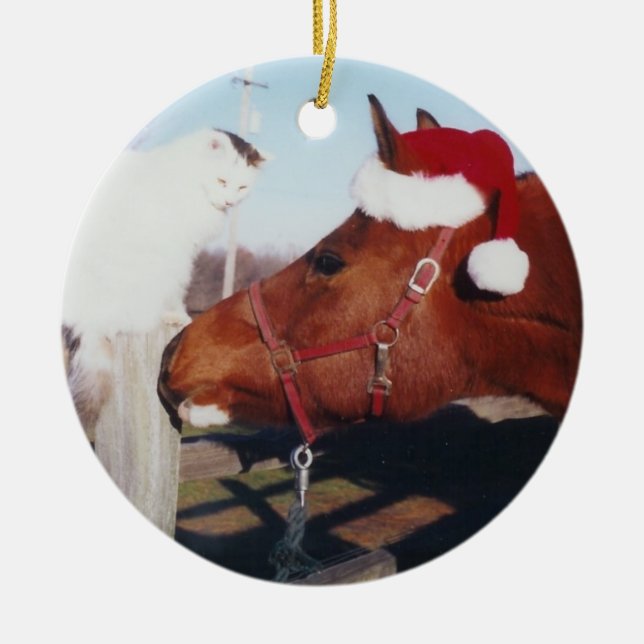 Ornamento árabe del caballo y del gato (Frente)