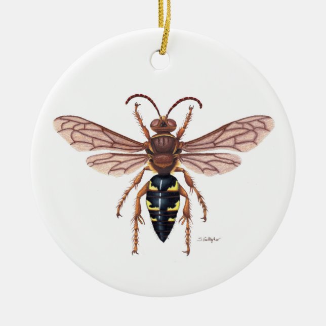Ornamento asesino de Cicada (Frente)