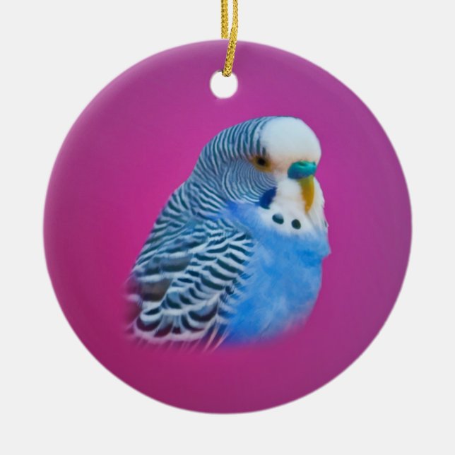 Ornamento azul del Parakeet (Frente)