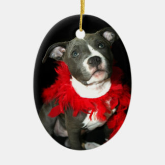 Ornamento azul del perrito del pitbull