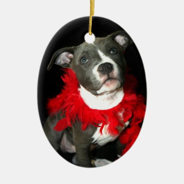 Ornamento azul del perrito del pitbull (Frente)