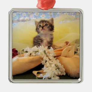 Ornamento Ballerina Kitten Kate Premium